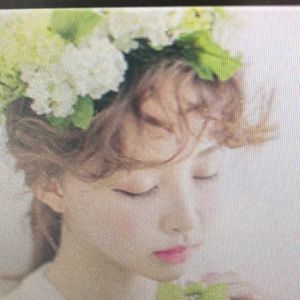 Meet your Posher, Perry